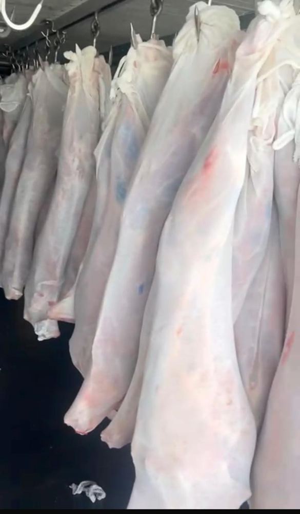 Chilled carcasses hanging in the cold store